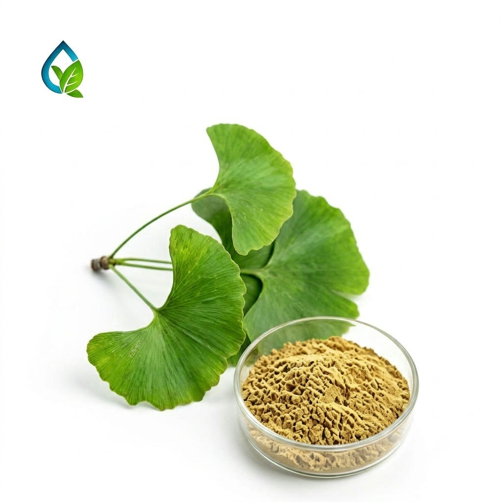 Chiết xuất lá Bạch Quả